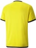 Puma Sportshirt "TeamLIGA Jersey" in Gelb