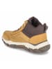 Skechers Schnürstiefel in beige