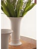 Kaiser Porzellan Vase " Trompete klassisch " in weiß