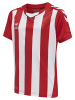 Hummel T-Shirt Hmlcore Kinder in TRUE RED/WHITE