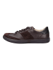 Legero Sneaker Dunkelbraun