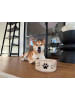 Ritzenhoff & Breker 2er Set Futternäpfe Mika Dog ø 14 cm in beige-grau