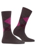 Burlington Socken Melange Marylebone in Rose/grey