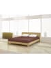 Mr.Sandman Spannbetttuch Jersey classic 180 - 200 x 200 cm in tabak