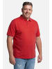 Men Plus Poloshirt in chilirot