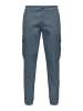 ONLY & SONS Cargo-Hose in Stormy Weather