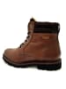 Sioux Stiefeletten/Boot in braun