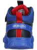 Geox Sneaker in Navy/Rot