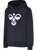 Hummel Kinder Hoodie in Blau