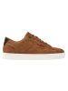 British Knights Sneaker Dale in cognacfarben/schwarz
