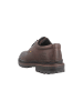 Camel Active Halbschuhe in Braun