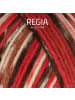 Regia Handstrickgarne 6-fädig Color, 150g in Winter Lights Color