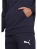 Puma Sweatshirt teamGOAL Casuals Hoody Jr in blau