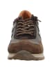 Cetti Sneaker für Damen in braun