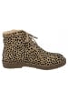Blowfish Schnürstiefel Cade in Beige
