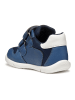 Geox Sneaker in Blau/Orange