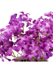 Atmosphera Créateur d'intérieur Kunstblumen in violett