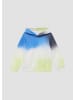 s.Oliver Sweatshirt  in  59D3_navy