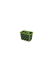 Wisam® Xbox Power Kunststoff Aufbewahrungsbox 7 L