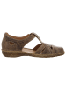 Josef Seibel Sandalen in braun
