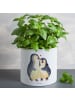 Mr. & Mrs. Panda Pflanzkübel Pinguin umarmen ohne Spruch in Weiß