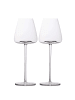 Intirilife Wein Glas Set 500ml in 2x 500ml Transparent