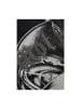 Brandit T-Shirt "Motörhead T-Shirt Warpig Print" in Schwarz