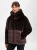 BLAUER USA Steppjacke in schoko