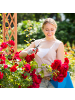 relaxdays Rosenbogen in Orange - (B)181 x (H)209 x (T)40 cm