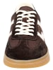GANT Footwear Sneaker in Dunkelbraun