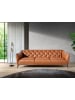 Angel Cerdá Chester-Sofa 6169 in Braun / Stahl