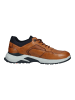 LLOYD Sneaker in Cognac