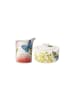 Villeroy & Boch 2er Set Milch- und Zucker-Set Amazonia in Bunt in bunt
