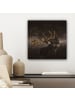 MuchoWow Leinwand bilder Hirsch (BxH)
