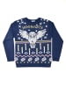 Harry Potter Harry Potter Winterpullover Hedwig Eule Winter Pullover Ugly Sweater in blau