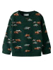 name it Sweatshirt Bio-Baumwolle Nmmonikian in pine grove