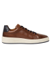 Marco Tozzi BY GUIDO MARIA KRETSCHMER Sneaker in COGNAC COMB