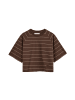 Polo Club T-Shirt DANAE TSHIRT W in Schokobraun-Hellbraun