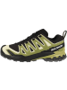 SALOMON Laufschuhe XA PRO 3D V9 GTX in schwarz