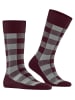 Burlington Buffalo Check Socke in Oxford
