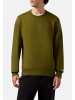 Champion Sweatshirt in grün