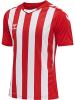 Hummel Trikot S/S Hmlcore Xk Striped Jersey S/S in TRUE RED/WHITE