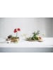 Zwiesel Glas 2er Set Weingläser leicht & frisch Simplify 382 ml transparent in transparent