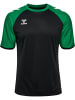 Hummel T-Shirt Raglanärmel Hmlmatch Erwachsene in BLACK/JELLY BEAN