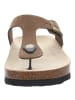 Josef Seibel Pantolette in braun