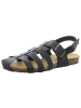 Plakton Riemchensandalette in schwarz