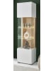 Furn.Design Vitrine weiß matt, Eiche 48 x 180 cm, Glasvitrine mit 5 Fächern und Soft-Close