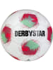 Derbystar Fußball "Tempo Aps V25" in Weiß