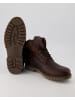 PANAMA JACK Wanderschuhe in Braun
