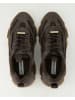 Steve Madden Sneaker low in Braun